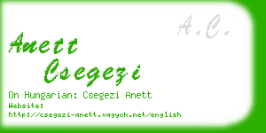 anett csegezi business card